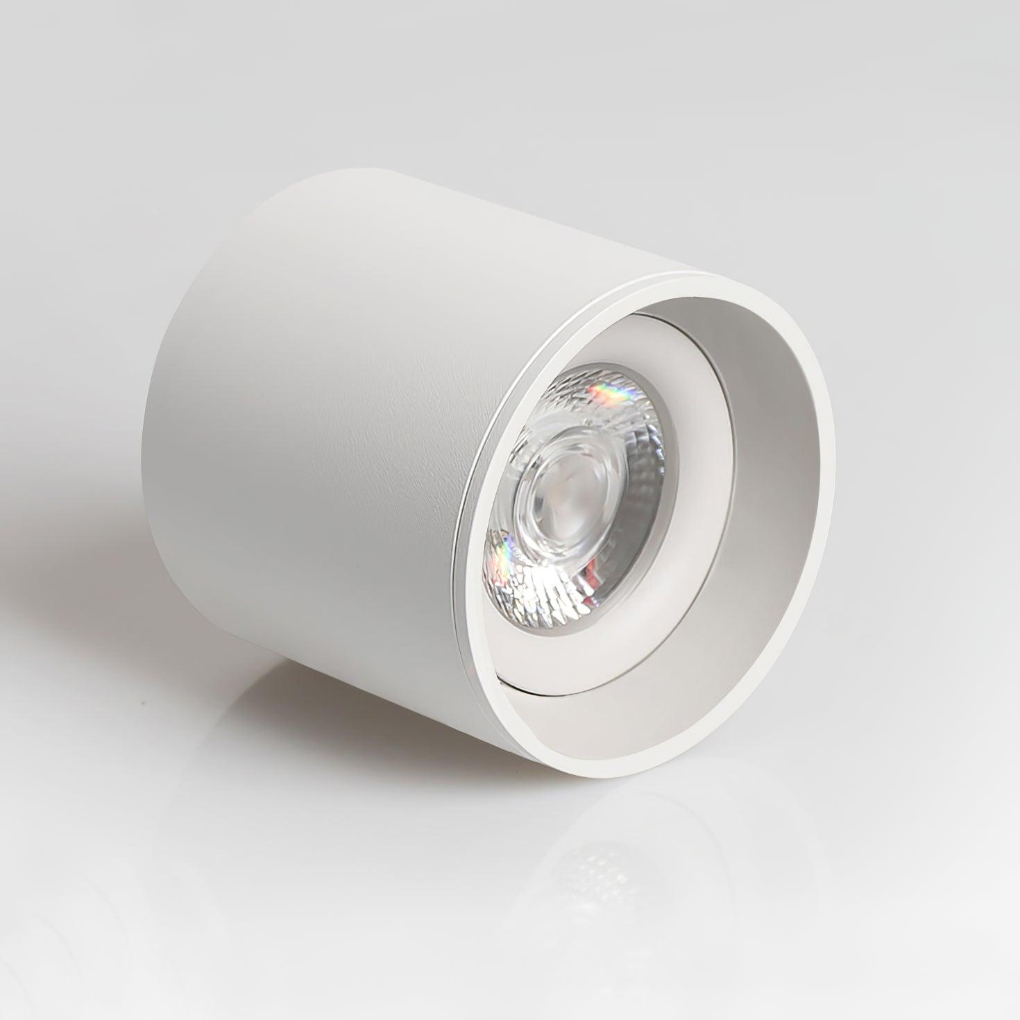 Lenu Cylinder Plafondlamp
