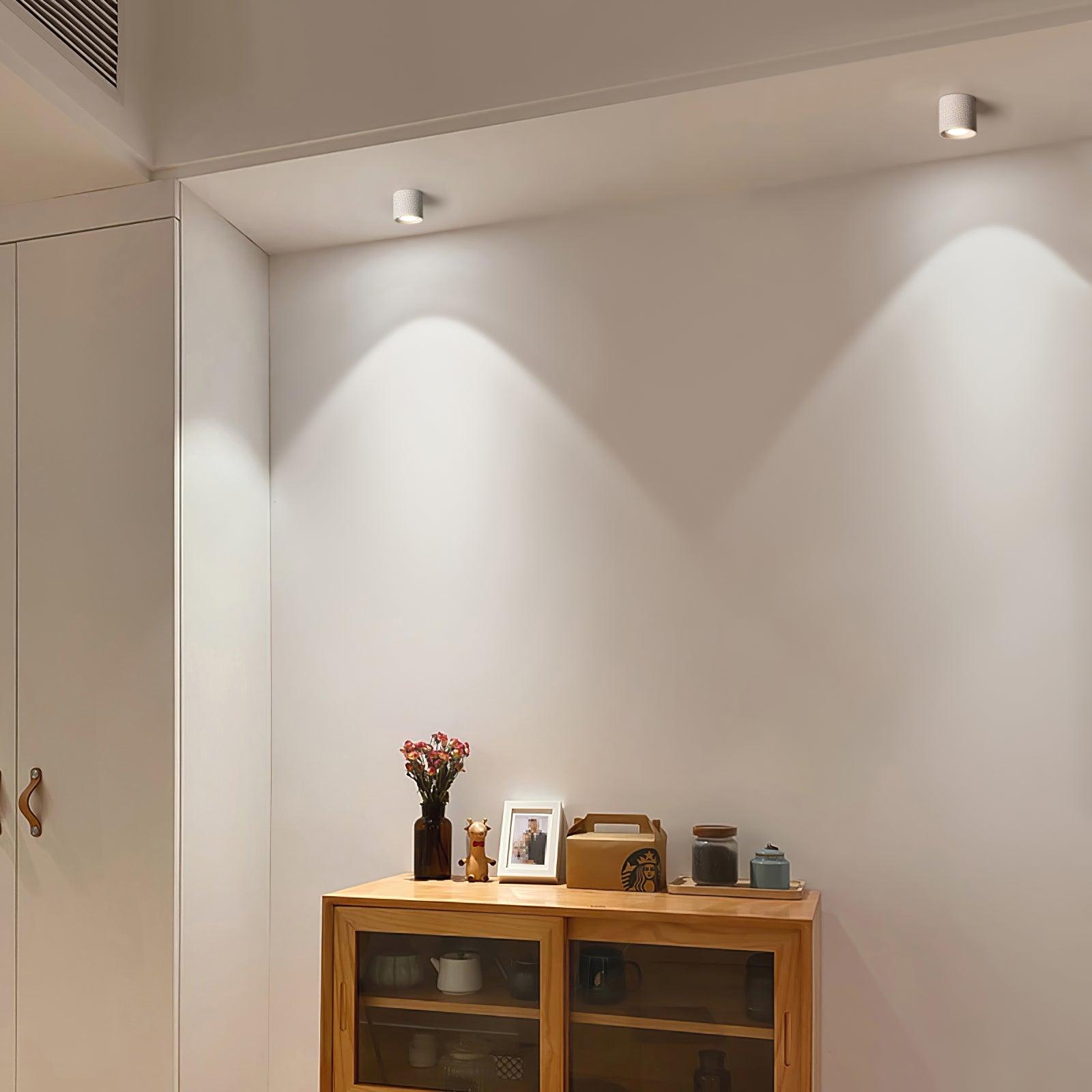Lenu Cylinder Plafondlamp