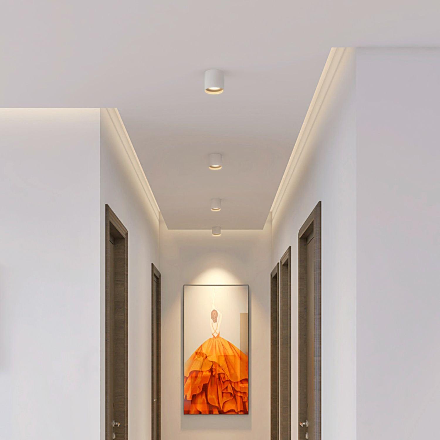 Lenu Cylinder Plafondlamp
