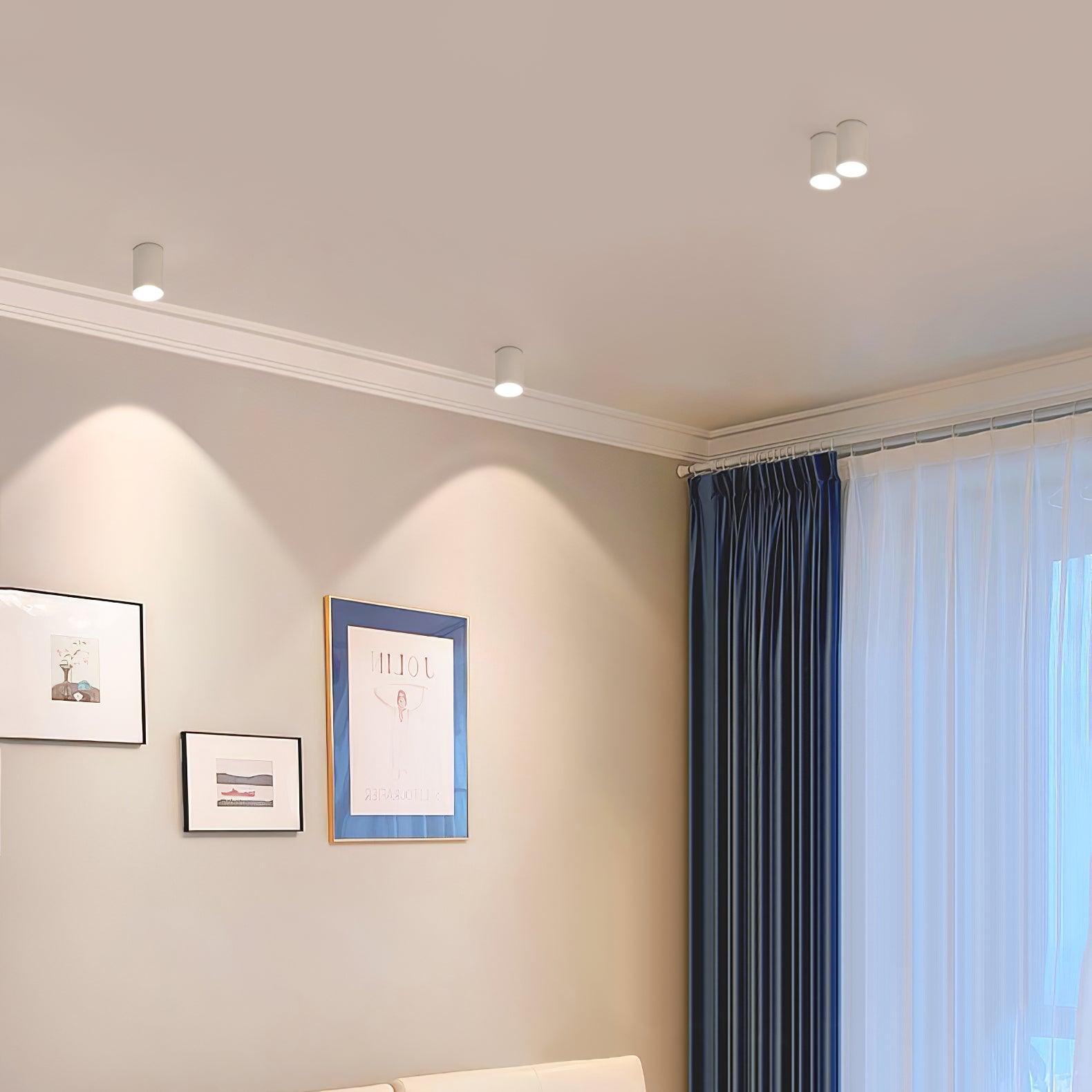 Lenu Cylinder Plafondlamp