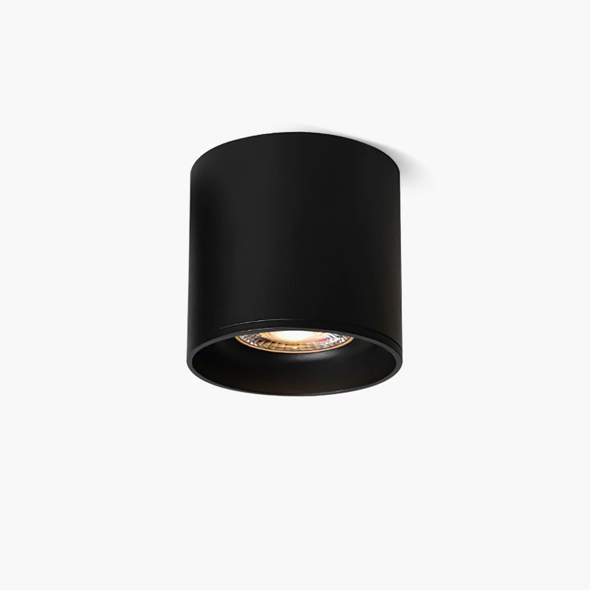 Lenu Cylinder Plafondlamp