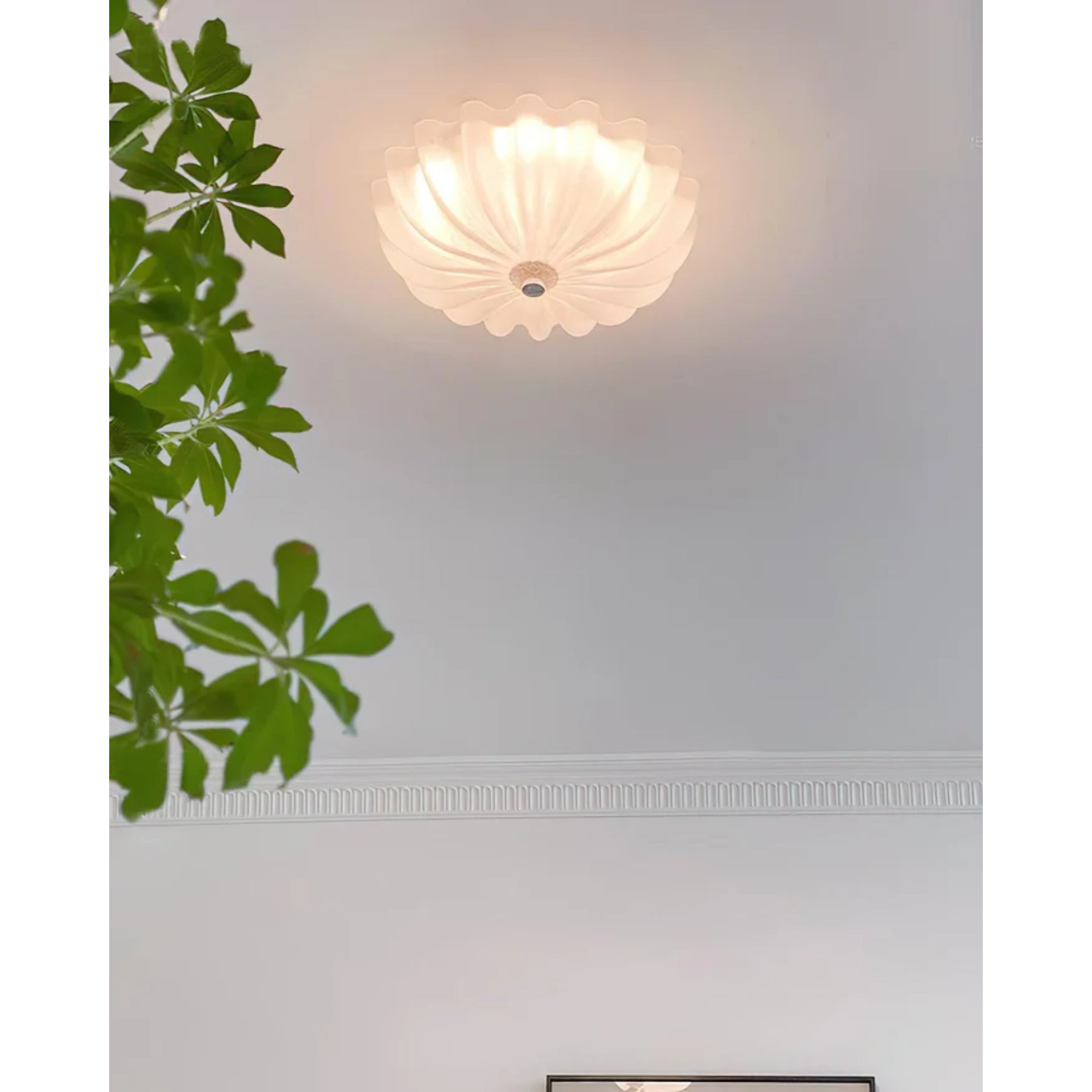 Prollar Plafondlamp