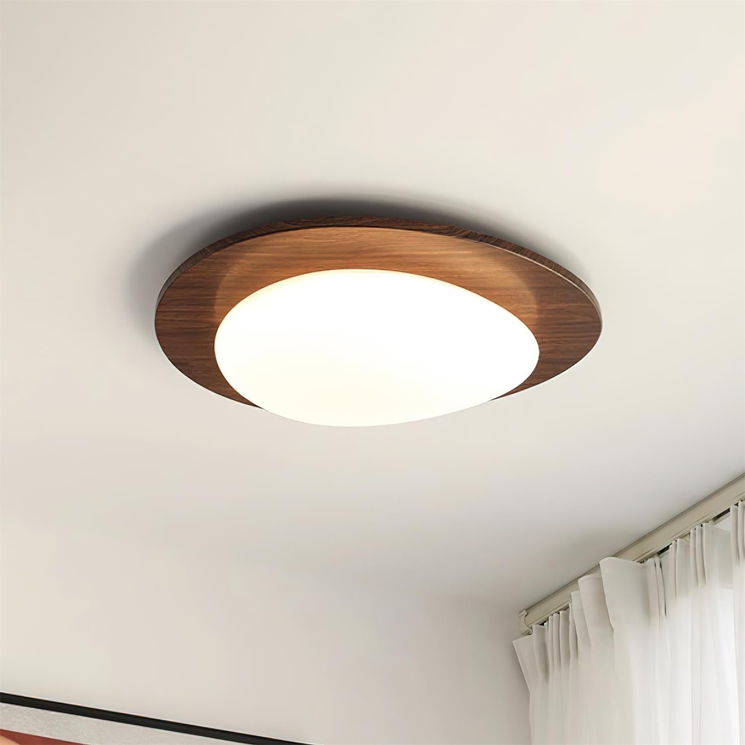 Olvessa Plafondlamp