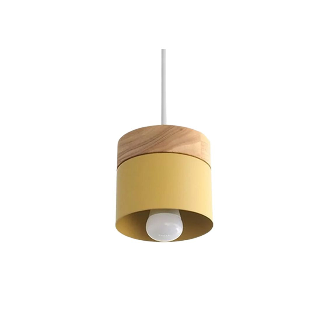 Suspendu Hanglamp