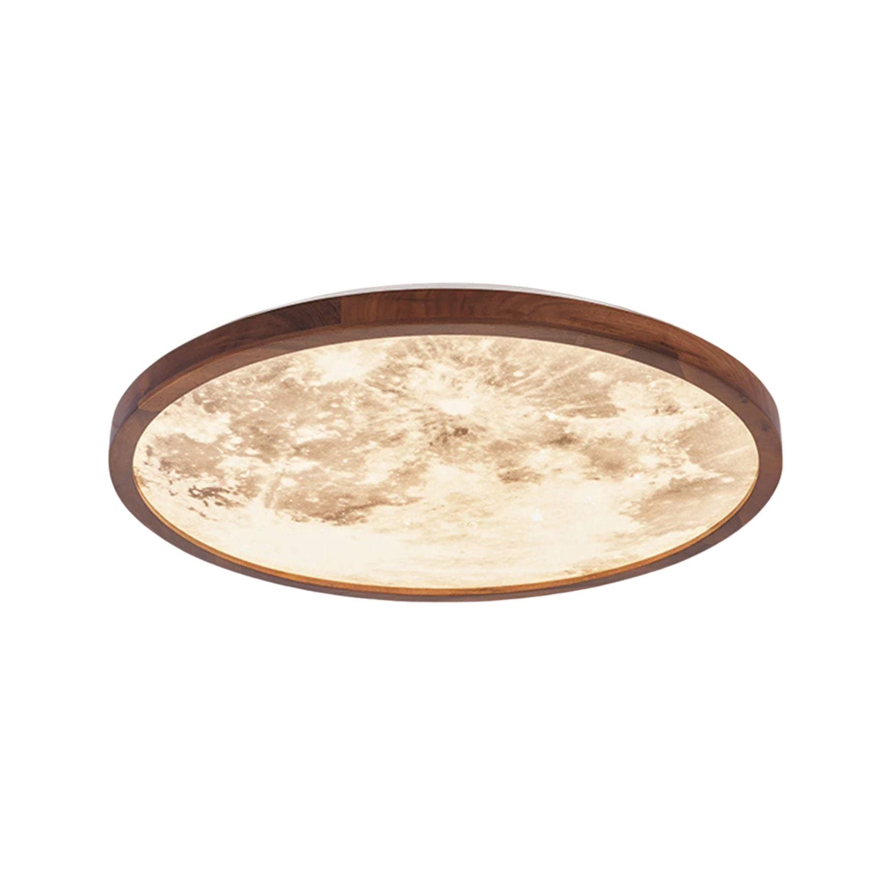 Tenzio Maanontwerp Plafondlamp