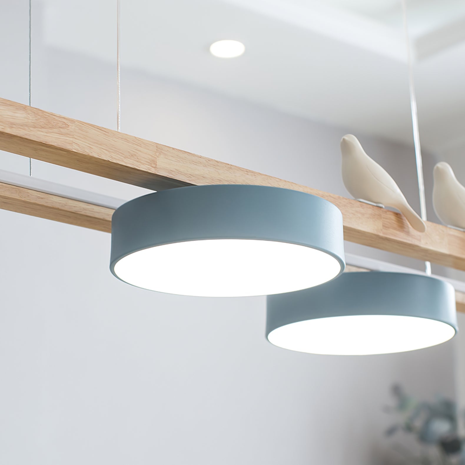 Felaro Birdlace Hanglamp