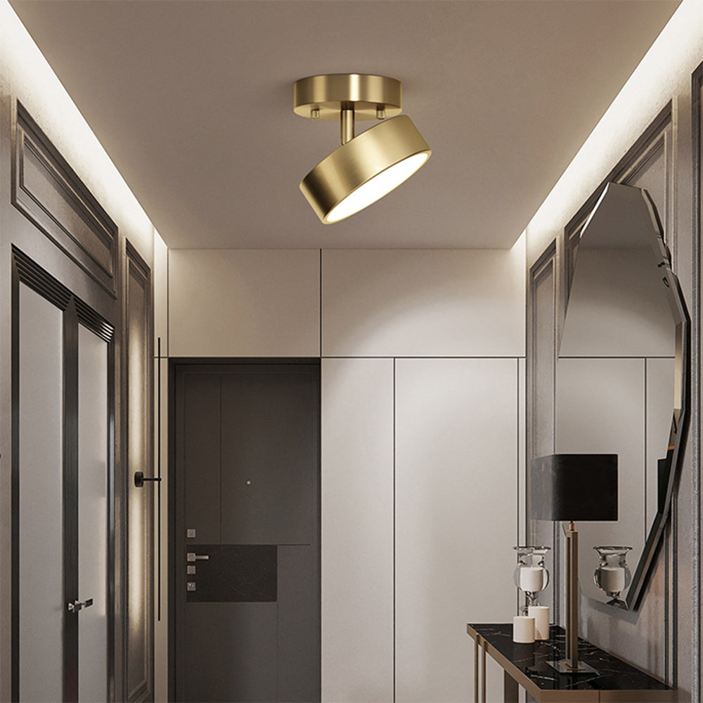 Niznaro Plafondlamp