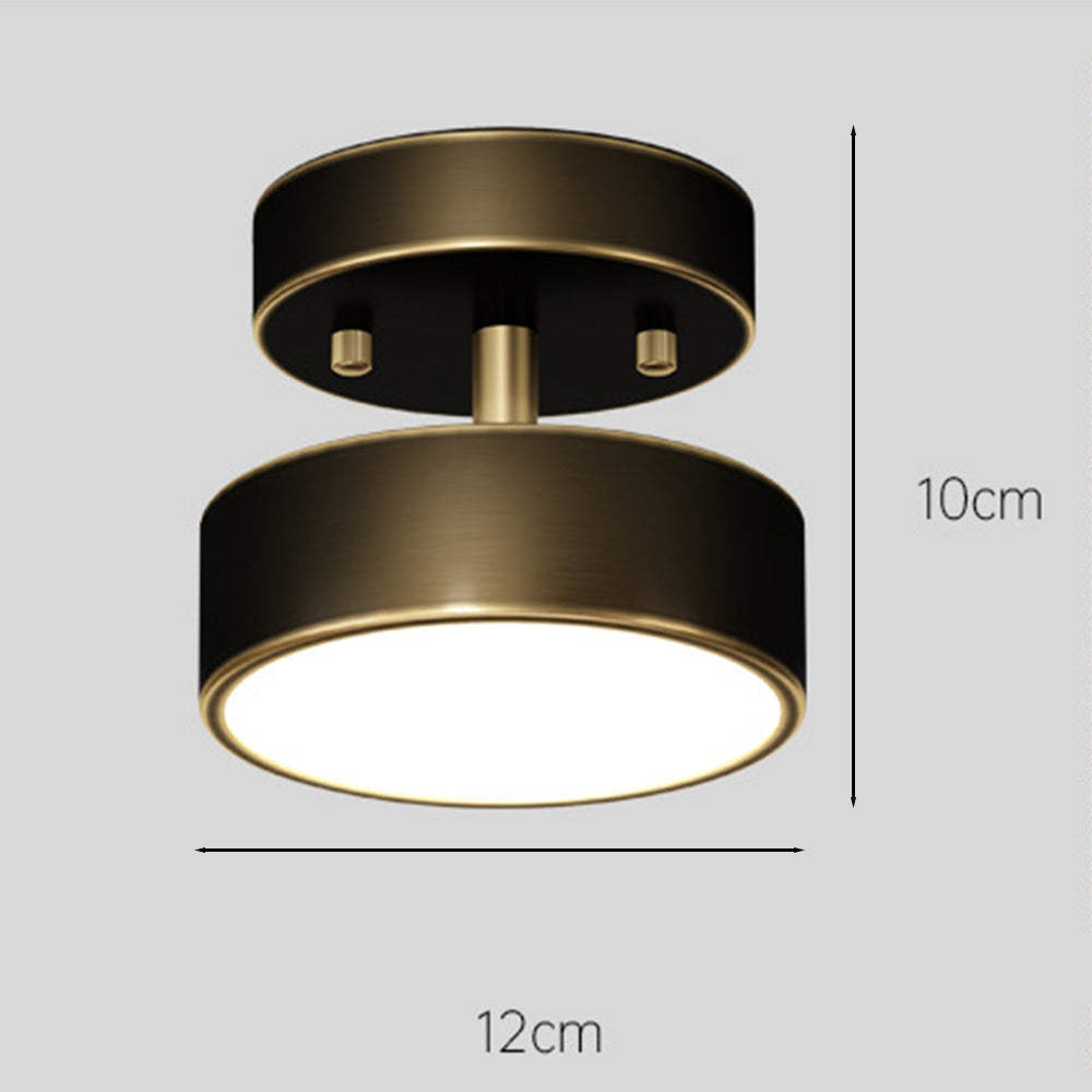 Niznaro Plafondlamp
