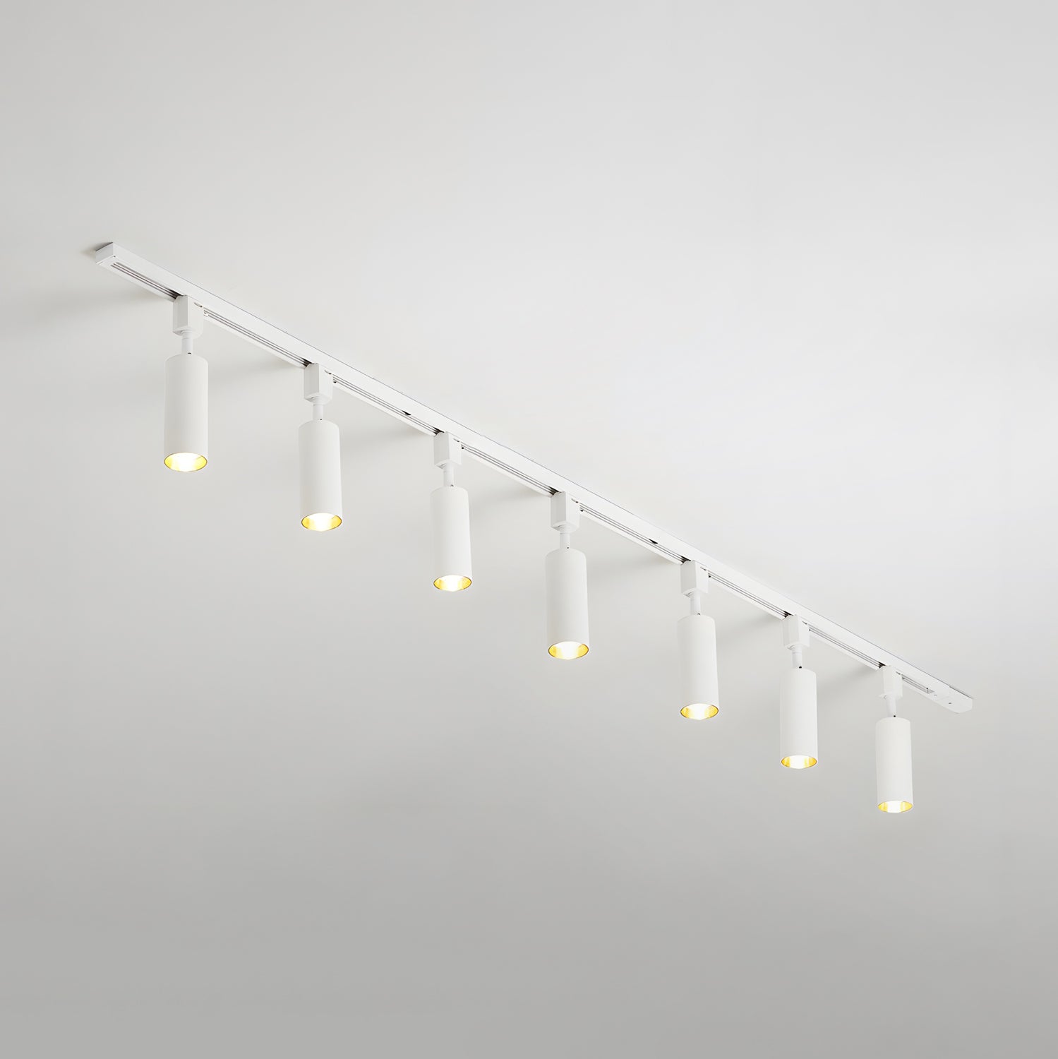 Sylonexis Plafondlamp