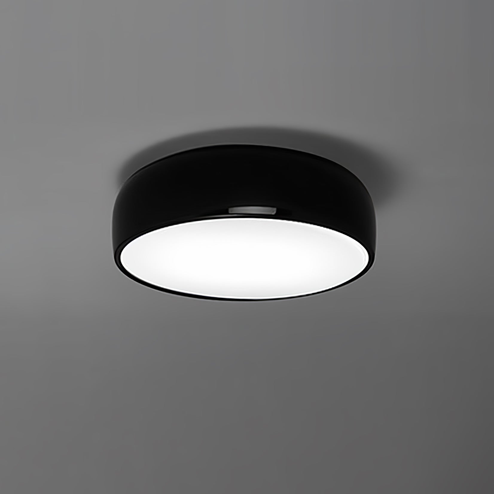 Dacero Plafondlamp