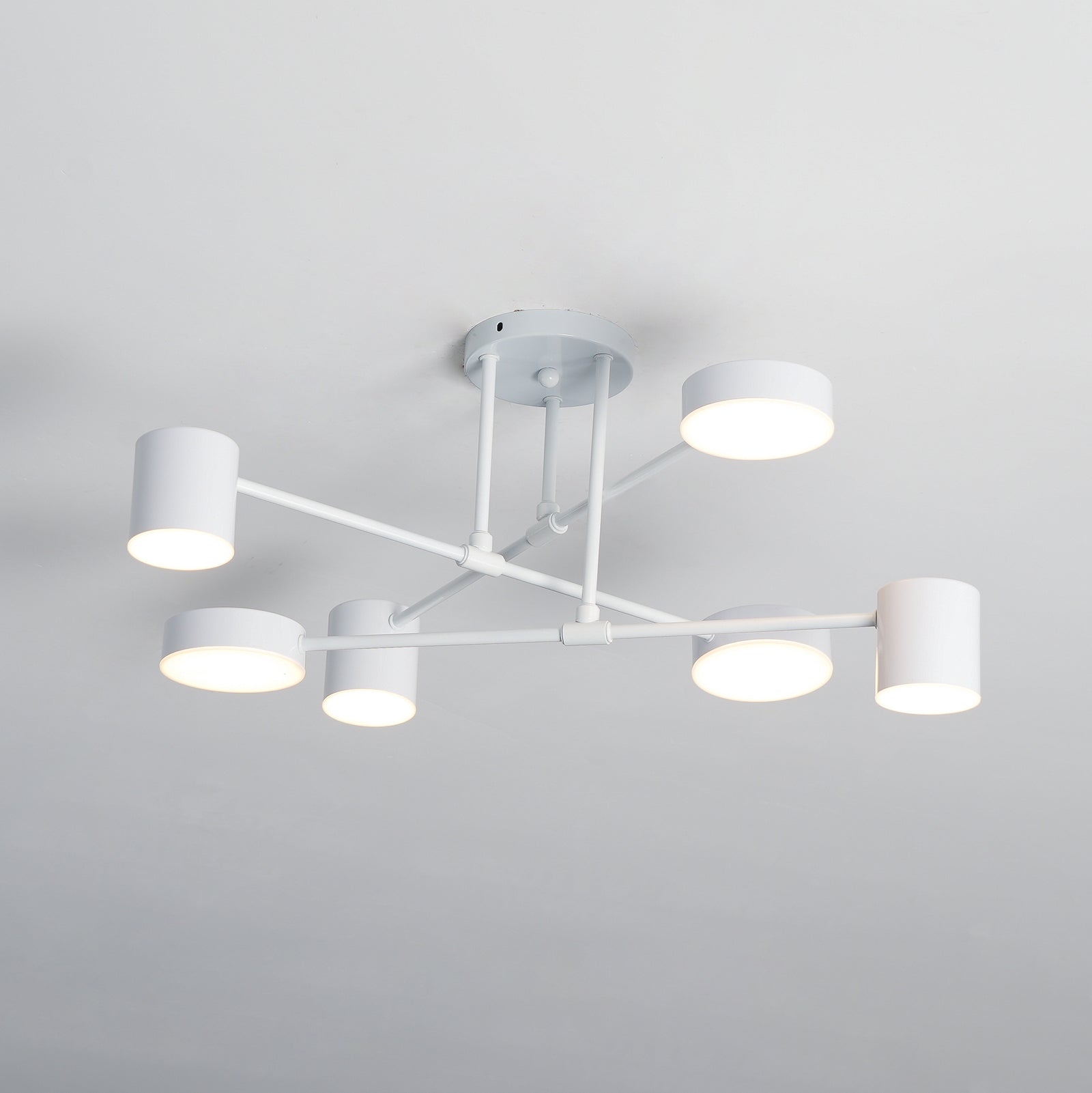 Siponic Plafondlamp