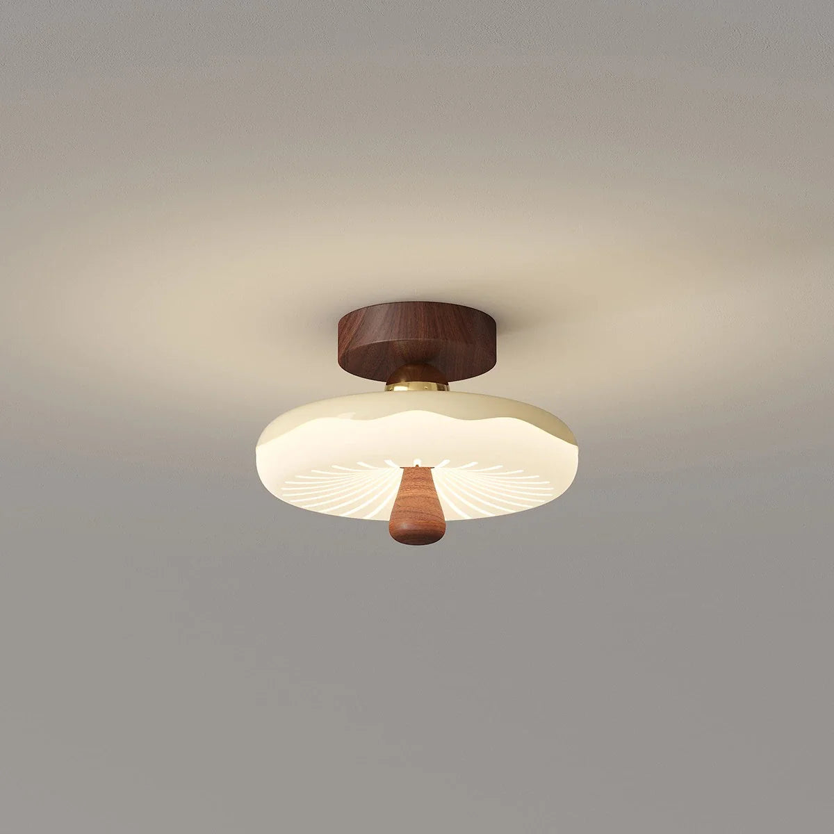 Cireva Plafondlamp