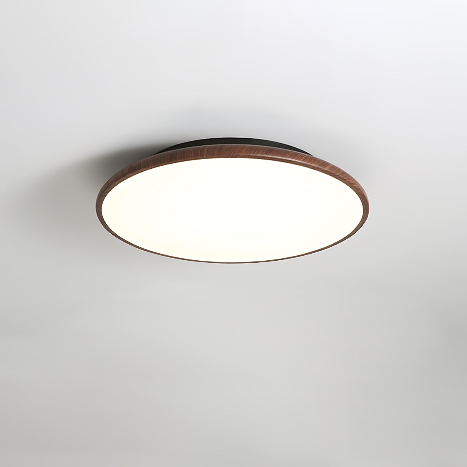 Fayana Plafondlamp