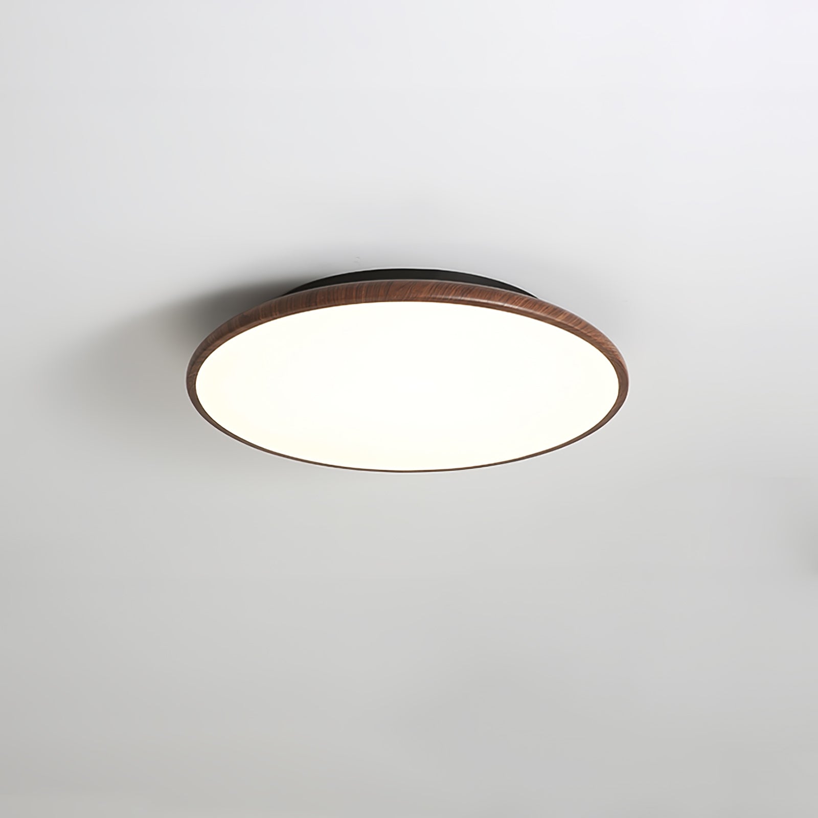 Fayana Plafondlamp