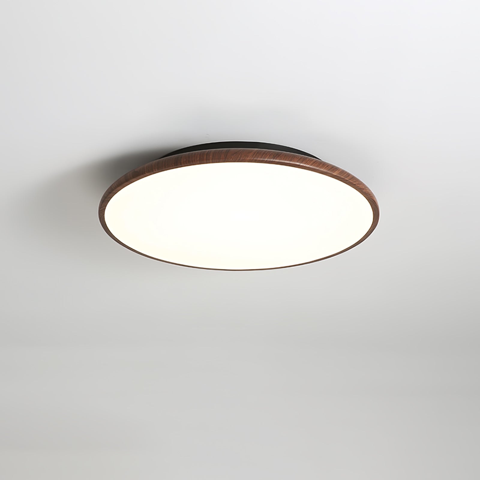 Fayana Plafondlamp