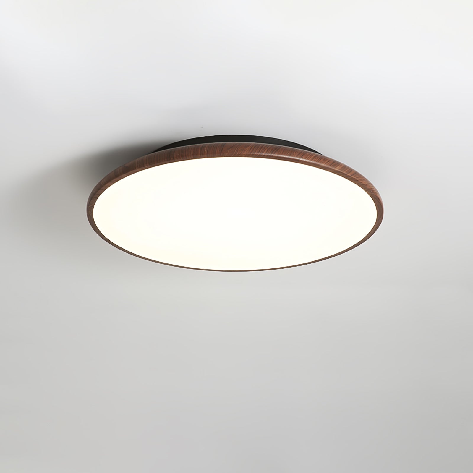 Fayana Plafondlamp
