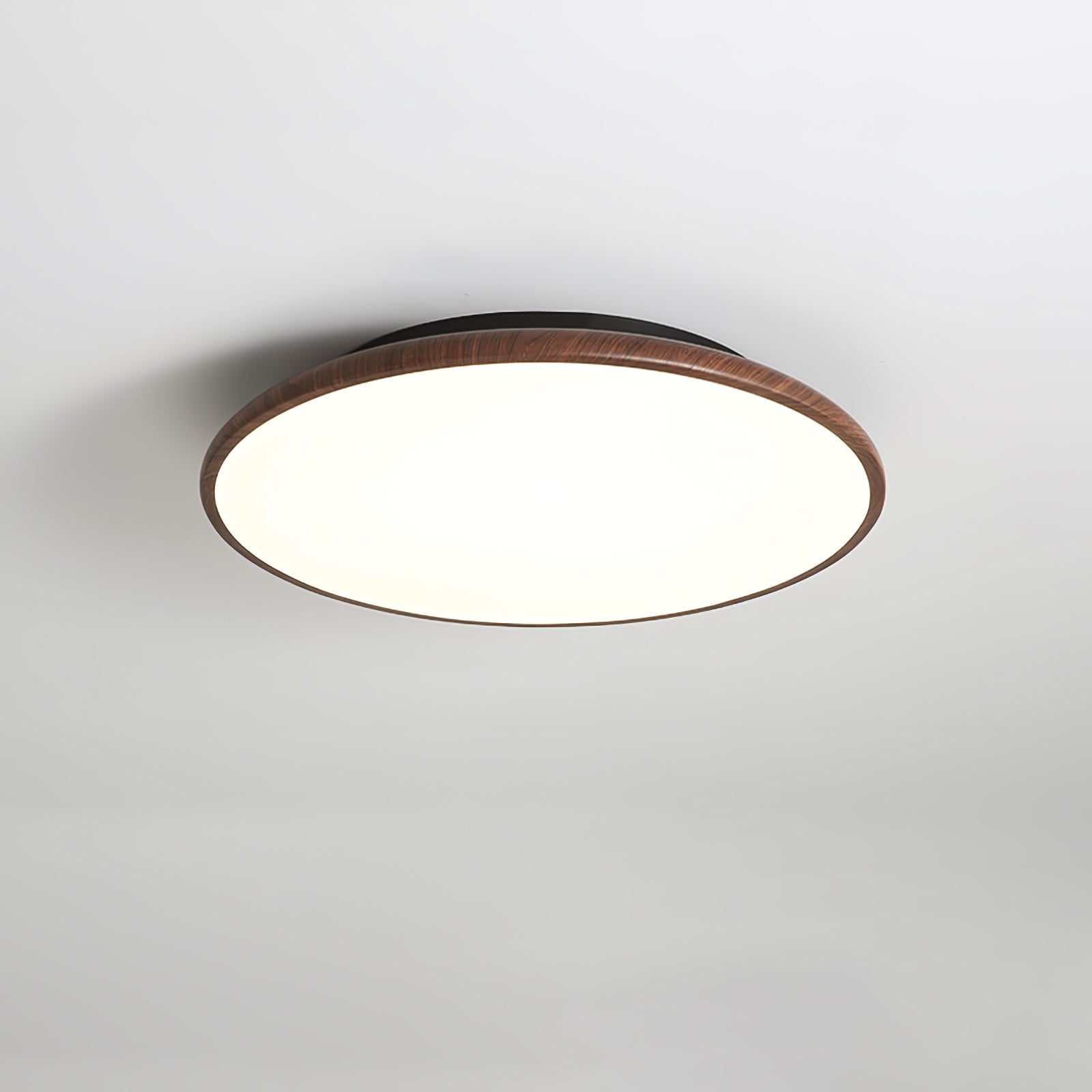 Fayana Plafondlamp