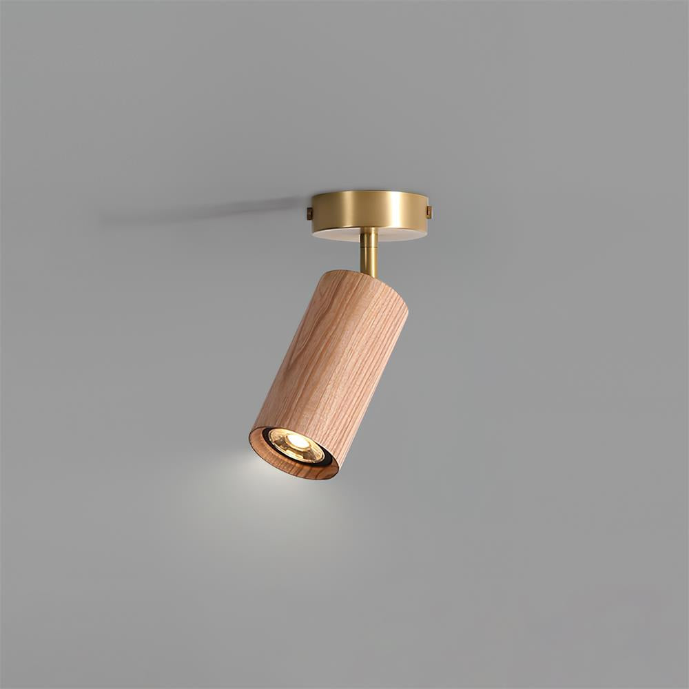 Volani Cylinder Plafondlamp