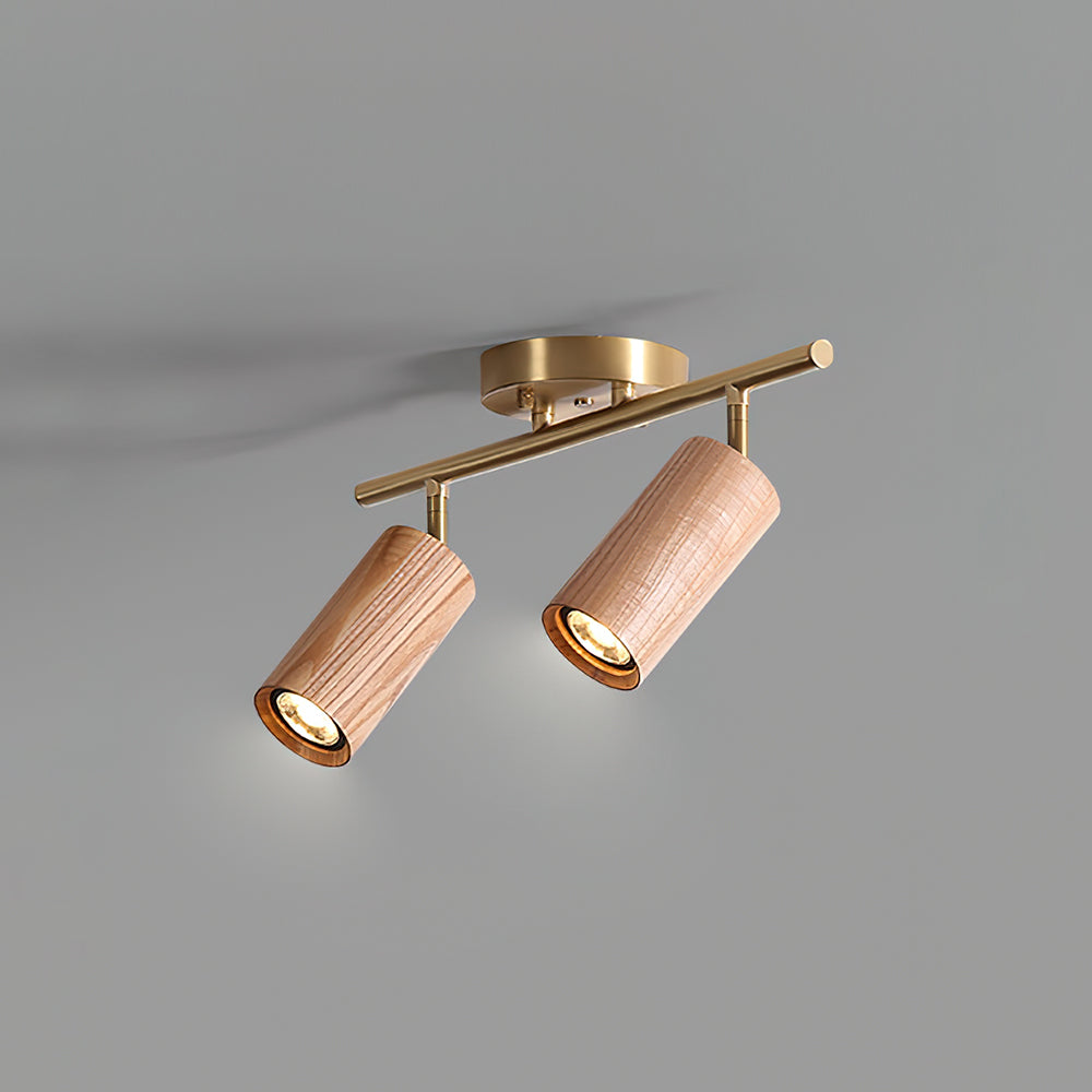 Volani Cylinder Plafondlamp