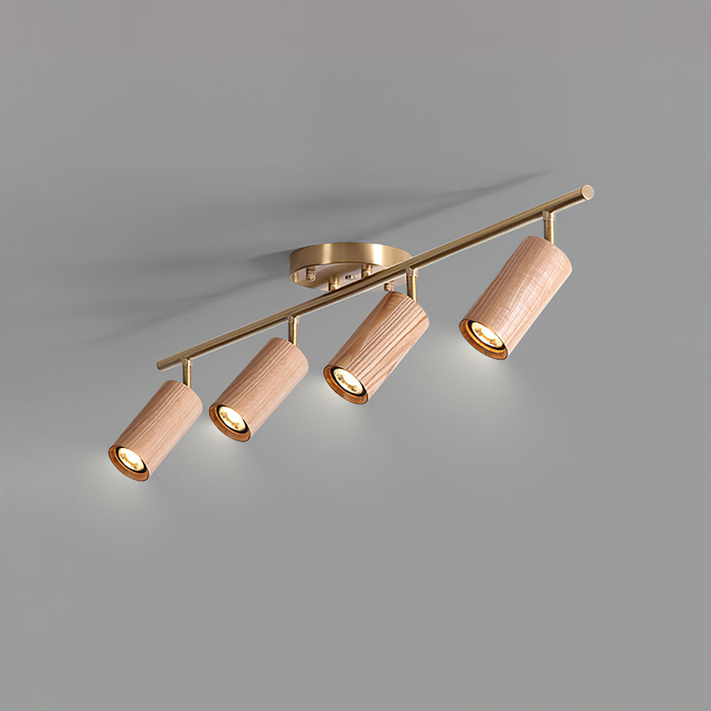 Volani Cylinder Plafondlamp