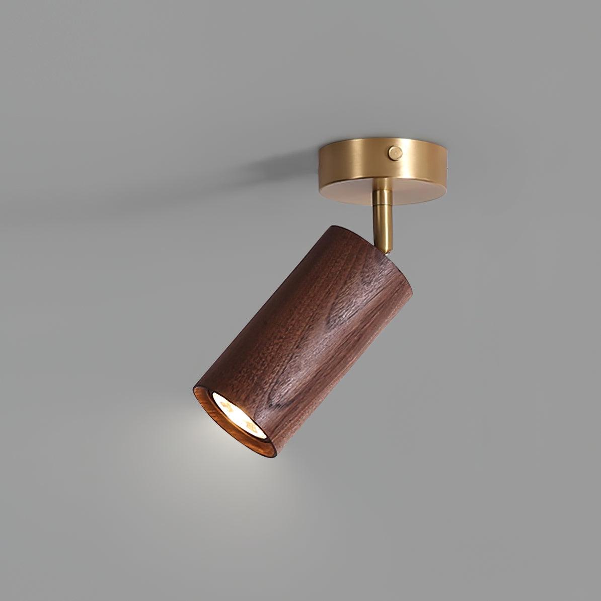 Volani Cylinder Plafondlamp