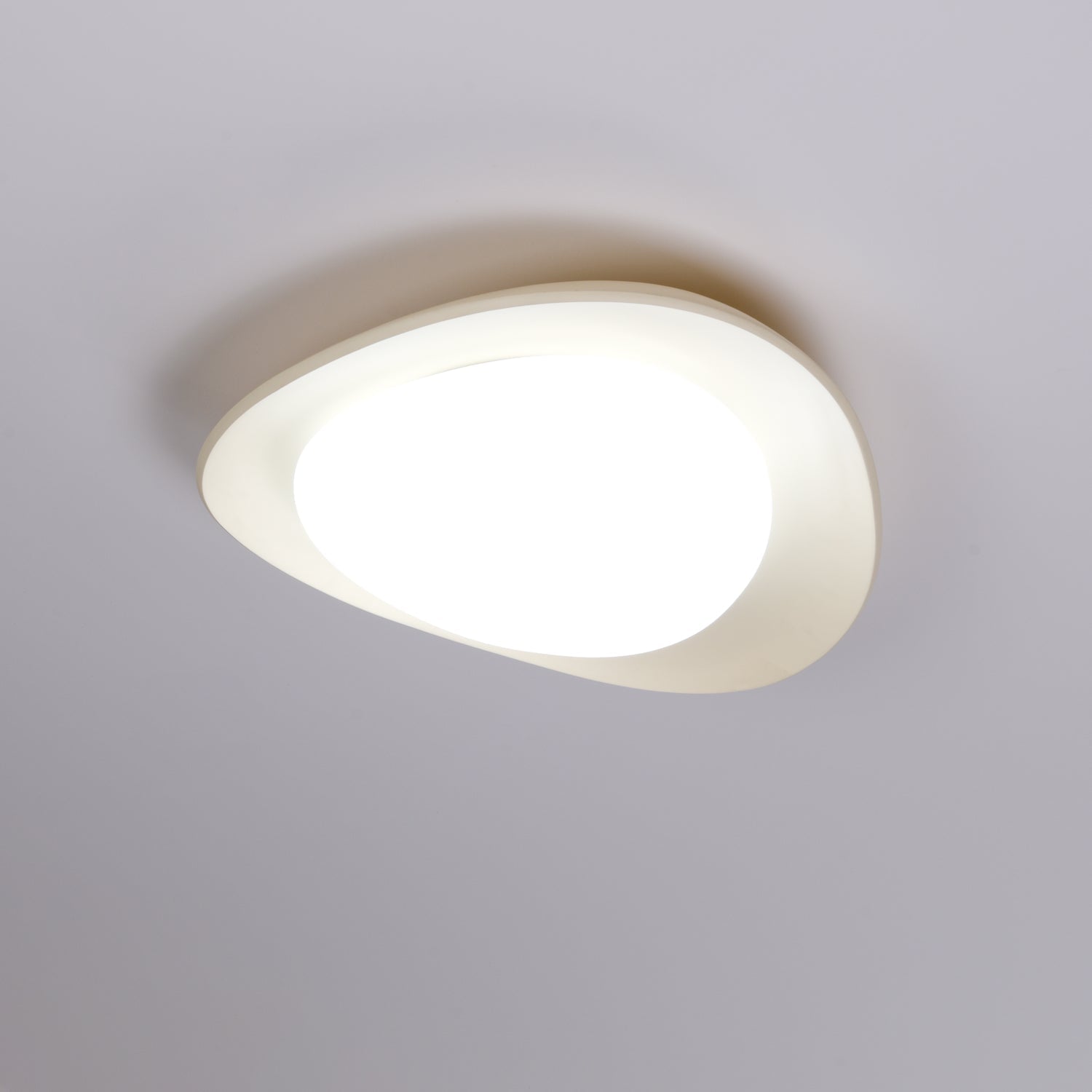 Fiolyn Leaf Plafondlamp