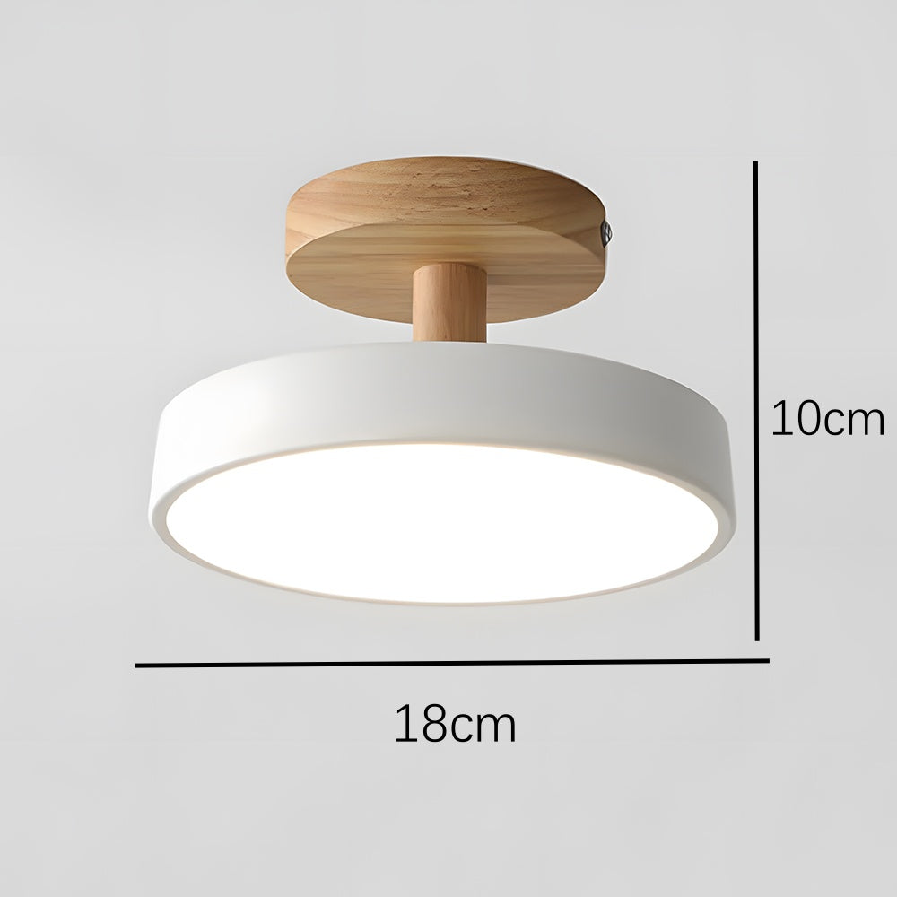 Pedol Plafondlamp
