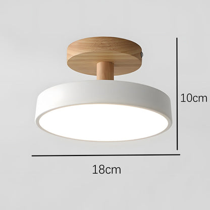 Pedol Plafondlamp