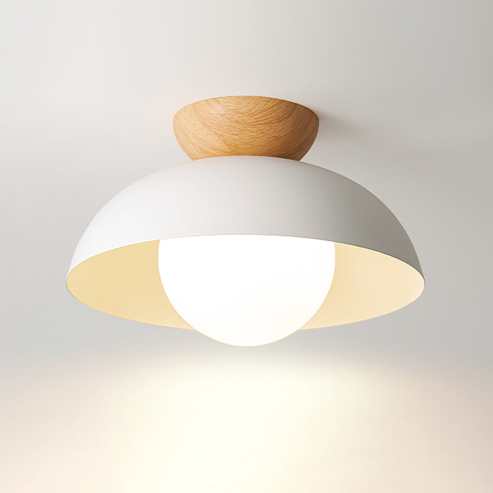 Meslamo Plafondlamp