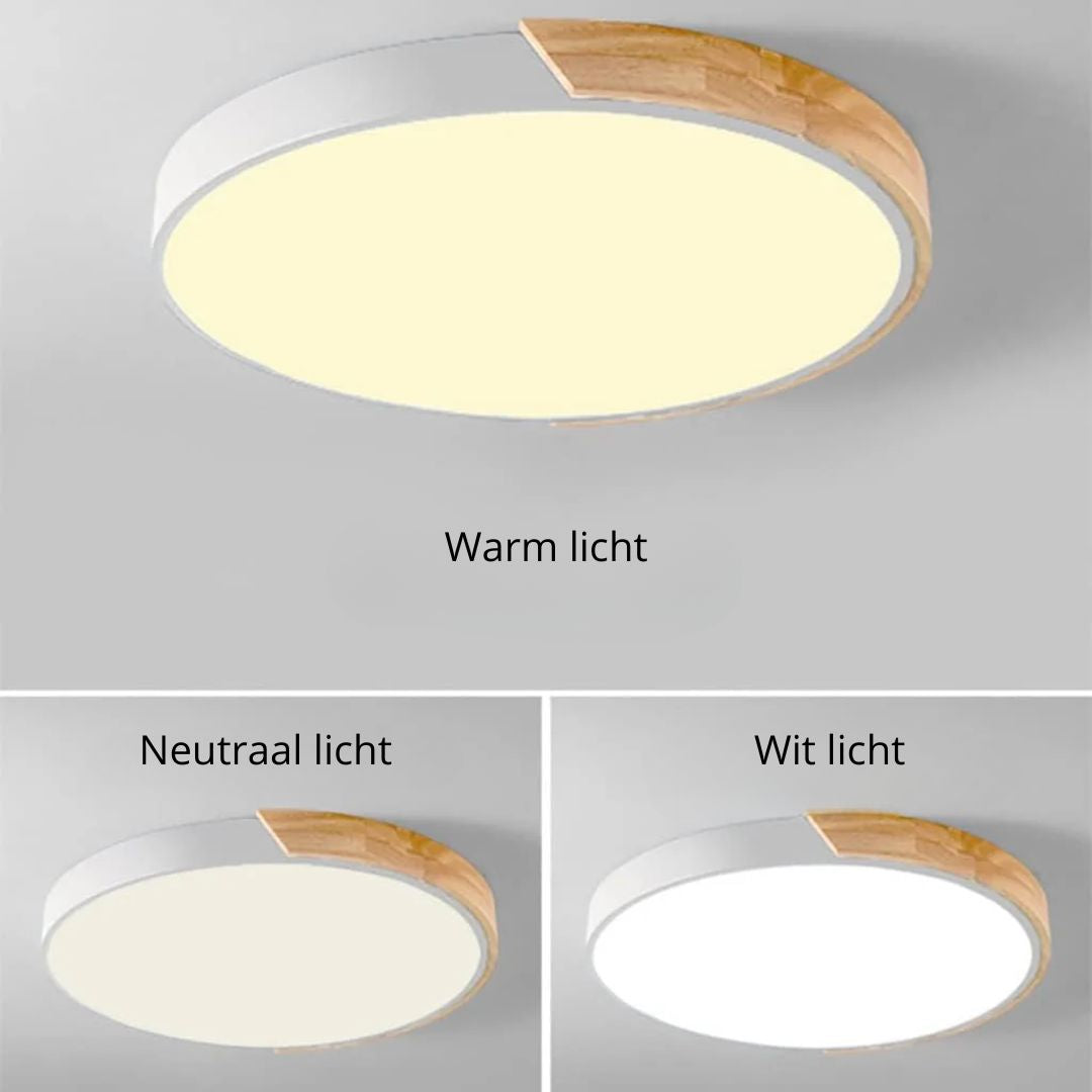 Haslon Ronde Plafondlamp