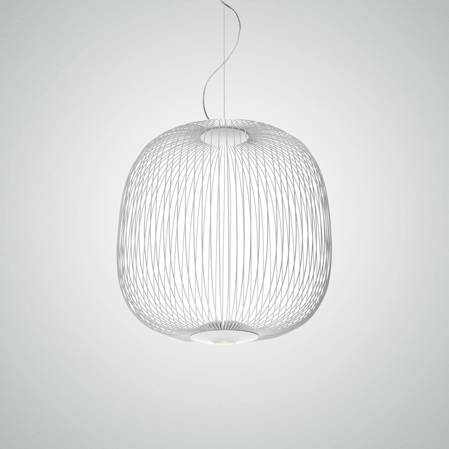 Enloria Cage Hanglamp