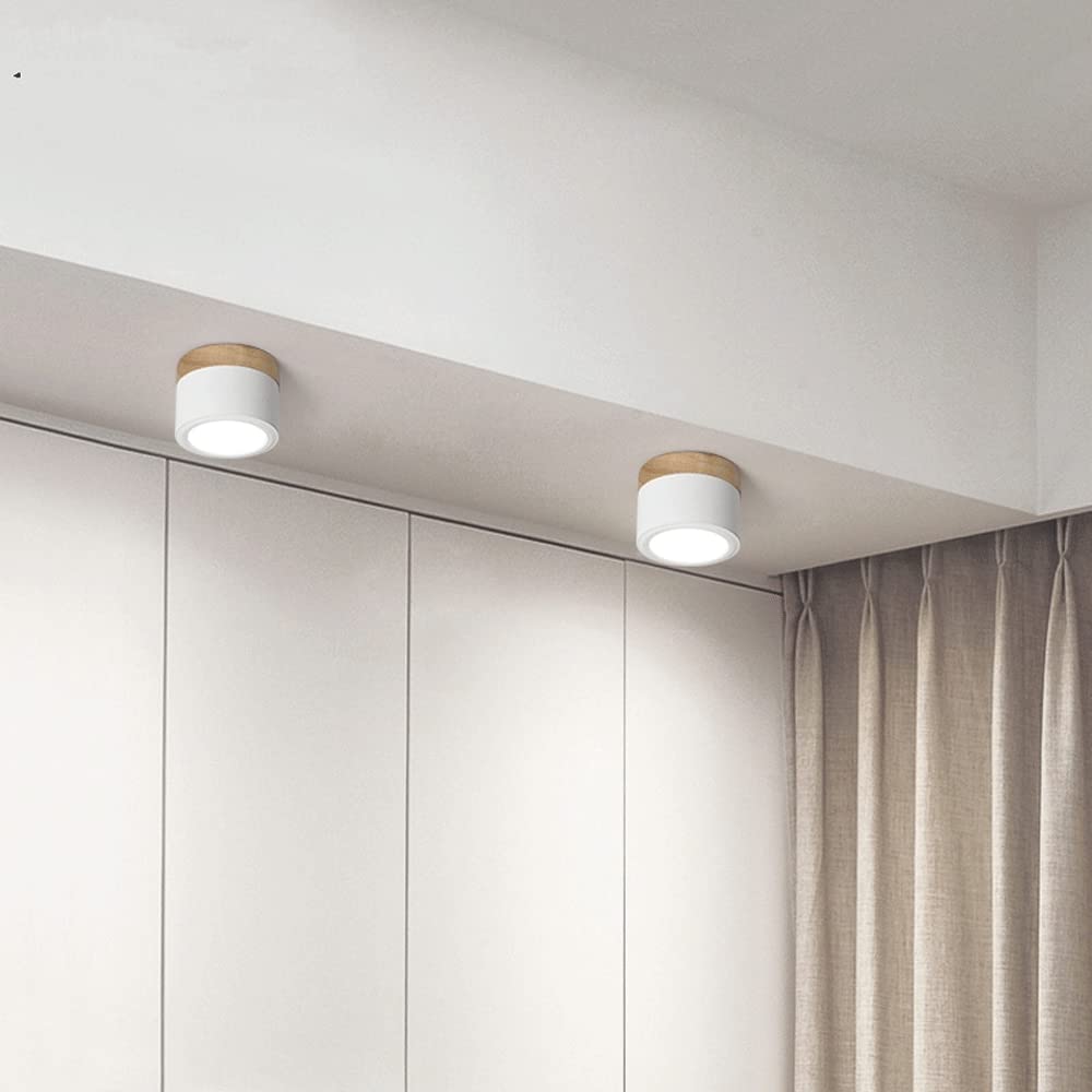 Cylinder Kleine Plafondlamp