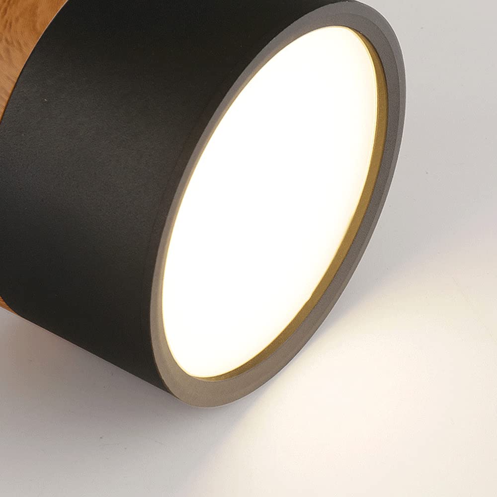 Cylinder Kleine Plafondlamp