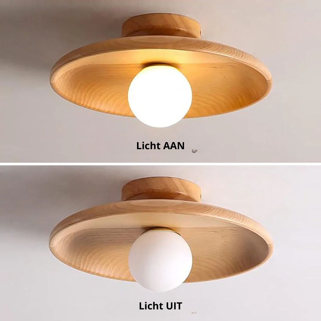 Losnero Plafondlamp
