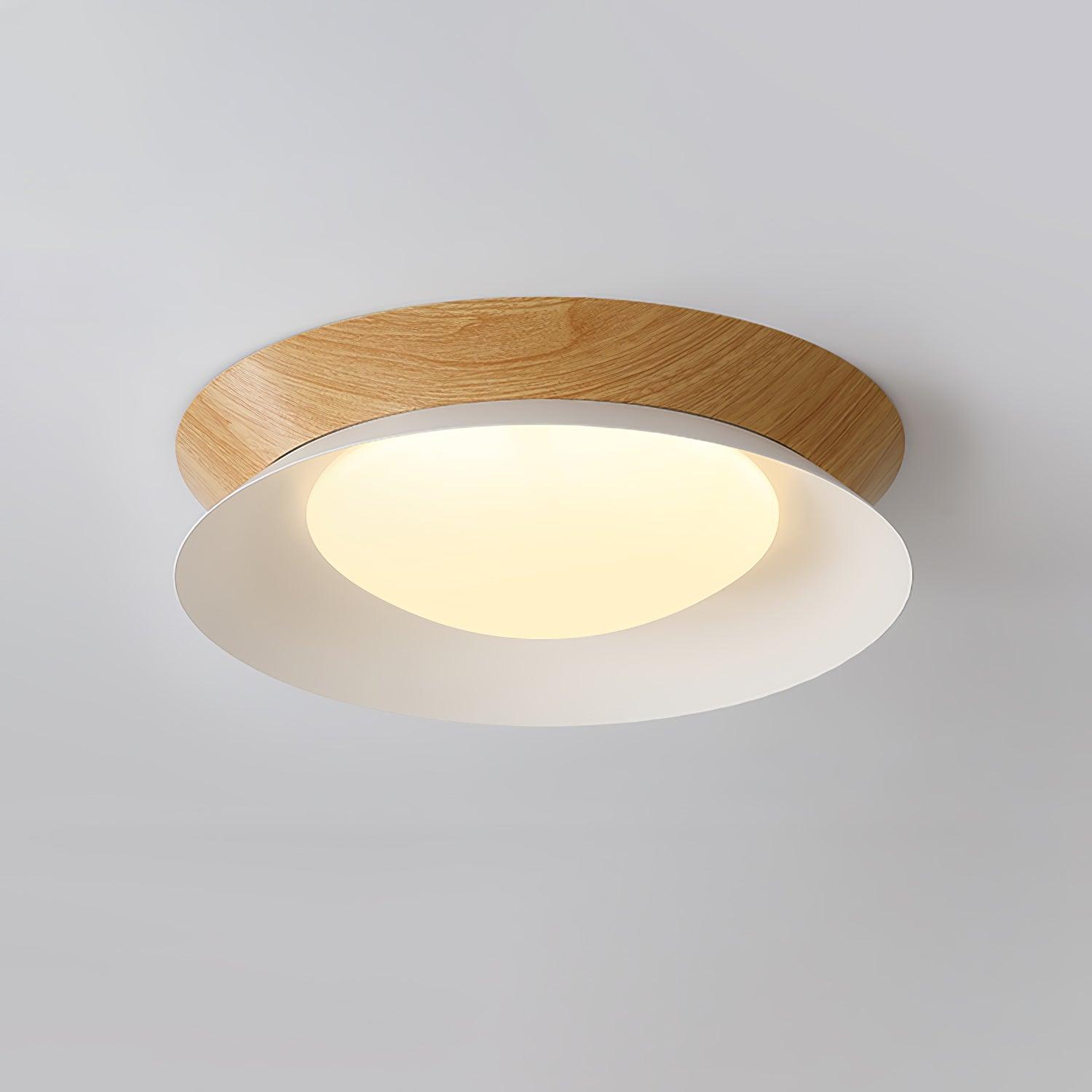 Solani Plafondlamp