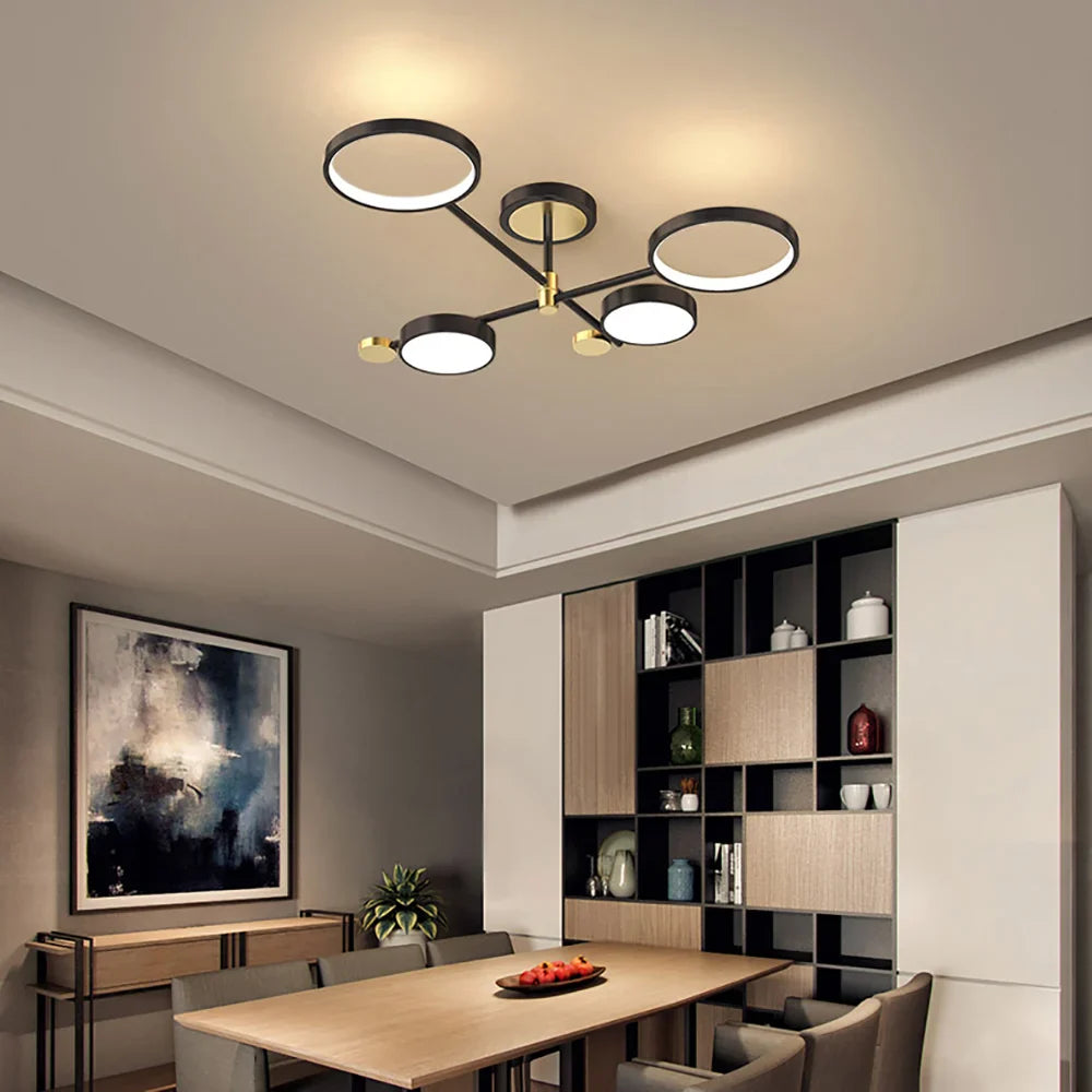 Selyz Ringontwerp Plafondlamp