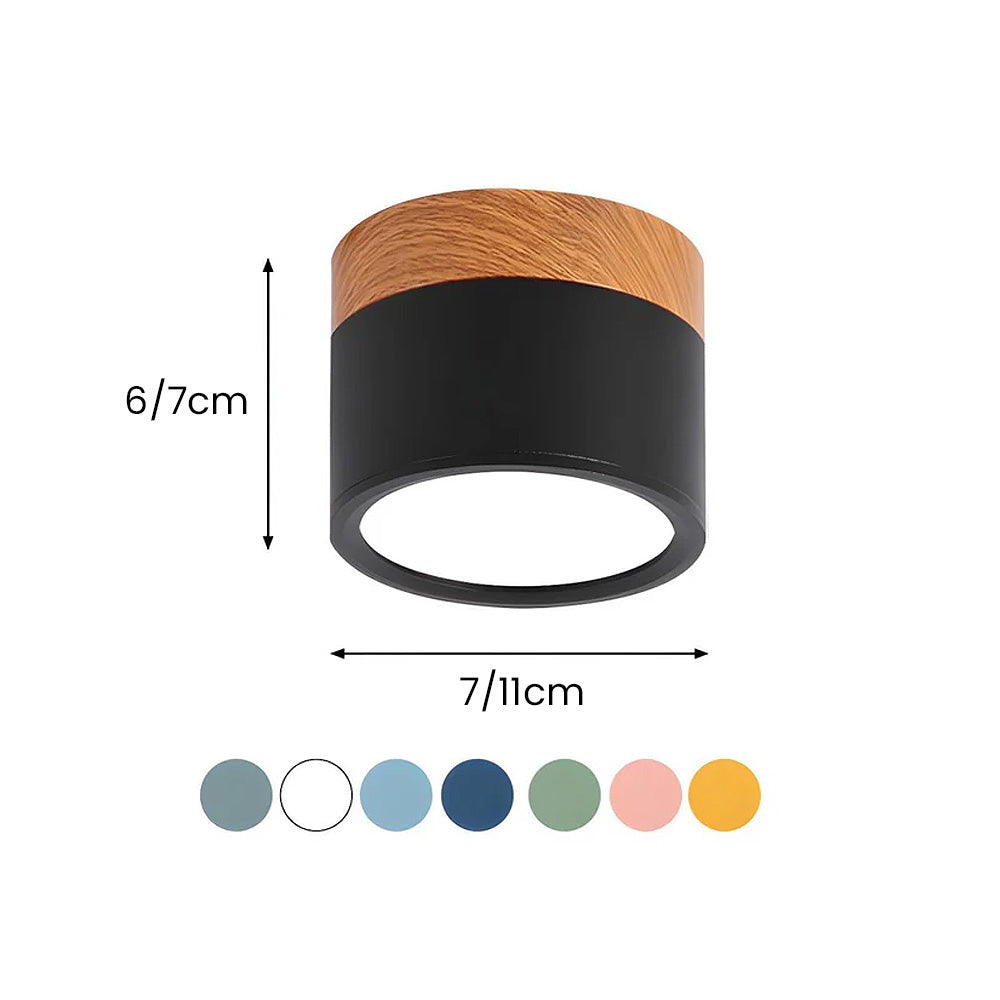 Cylinder Kleine Plafondlamp