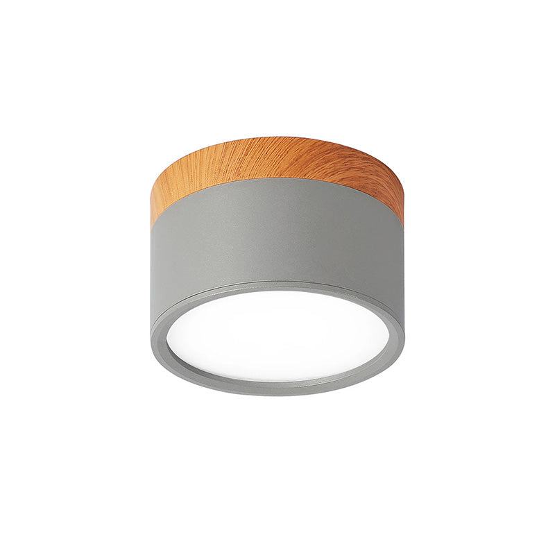 Cylinder Kleine Plafondlamp
